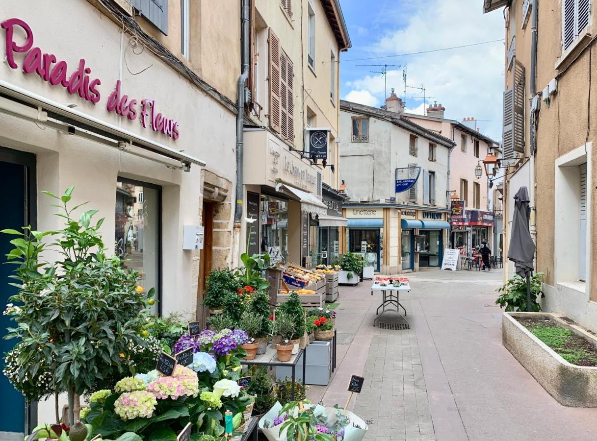 Charmant Appartement Au Coeur De Neuville - Lyon A 20Mn Eksteriør billede