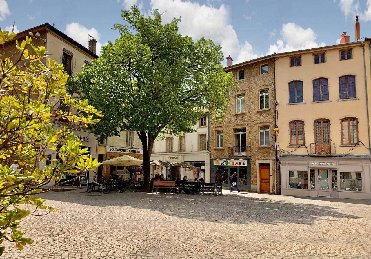 Charmant Appartement Au Coeur De Neuville - Lyon A 20Mn Eksteriør billede
